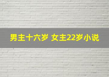 男主十六岁 女主22岁小说